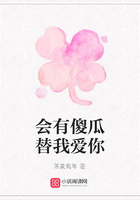 會有傻瓜替我愛你在線閱讀