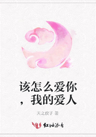 該怎么愛你，我的愛人在線閱讀