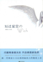 划过星空的wish