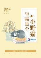 学霸是个小野猫在线阅读