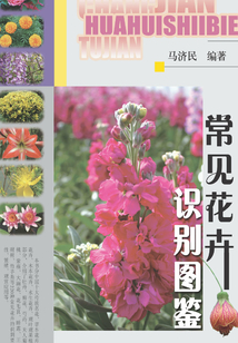 常见花卉识别图鉴