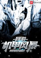 网游机甲风暴在线阅读