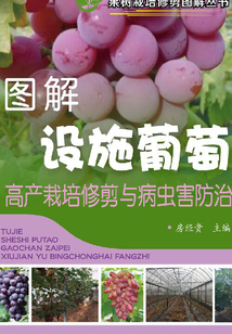 图解设施葡萄高产栽培修剪与病虫害防治