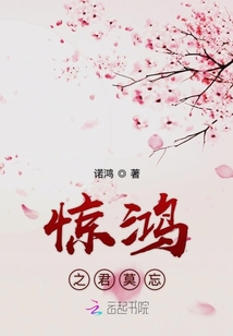 驚鴻之君莫忘