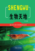 生物天地