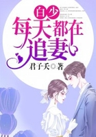 白少每天都在追妻在线阅读