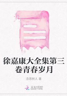 徐嘉康大全集第三卷青春歲月