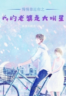 慢慢靠近你之我的老婆是大明星