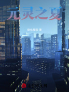 元灵之夏在线阅读