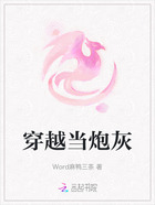 穿越当炮灰在线阅读