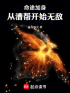 命途加身,从漕帮开始无敌!在线阅读