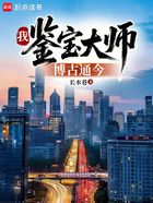 我!鉴宝大师,博古通今在线阅读