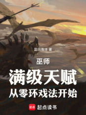 巫师:满级天赋,从零环戏法开始在线阅读
