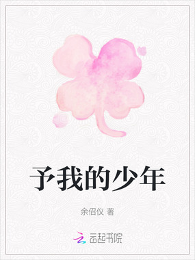 予我的少年在线阅读