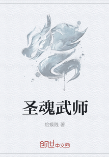 圣魂武师