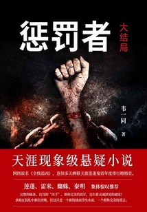懲罰者·大結局