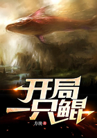 开局一只鲲在线阅读