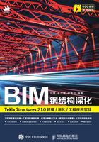 BIM钢结构深化：Tekla Structures 21.0建模/深化/工程应用实战