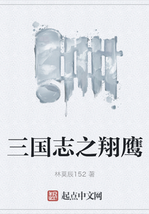 三國志之翔鷹