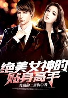 绝美女神的贴身高手