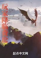 玩家降临费伦在线阅读