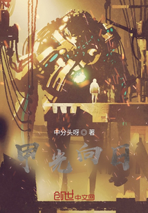 甲光向日