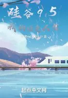硅谷95:我的惬意人生在线阅读