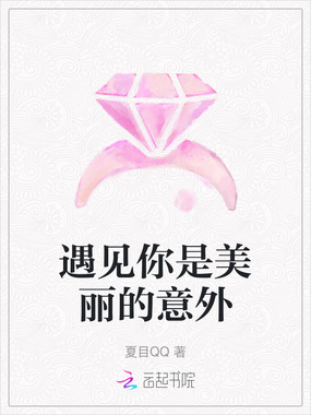 遇见你是美丽的意外在线阅读