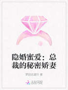 隐婚蜜爱:总裁的秘密娇妻在线阅读