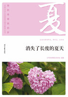 “我的青春我的梦”全国中学生校园美文精品集萃丛书：消失了长度的夏天在线阅读