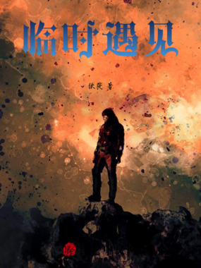 临时遇见在线阅读