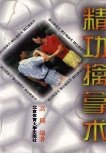 精功擒拿術