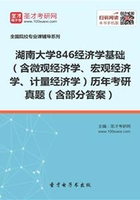 湖南大学846经济学基础（含微观经济学、宏观经济学、计量经济学）历年考研真题（含部分答案）在线阅读