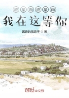 流星雨流星雨我在這等你在線閱讀