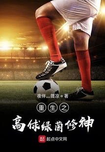 重生之高俅綠茵修神