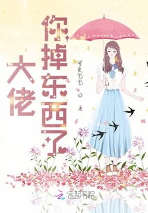 大佬你掉東西了