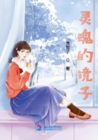 靈魂的鏡子在線閱讀