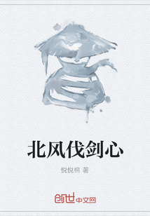 北風(fēng)伐劍心