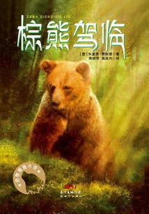 棕熊駕臨