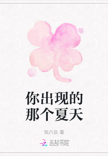 你出現的那個夏天