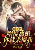 疯了吧!刚提离婚你就来撩我在线阅读