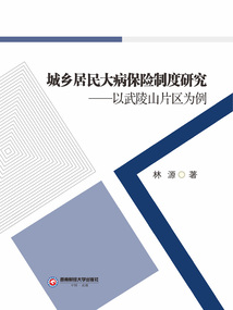 城鄉居民大病保險制度研究:以武陵山片區為例