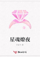 星魂燎夜在線閱讀