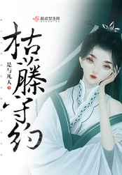 枯藤守约在线阅读