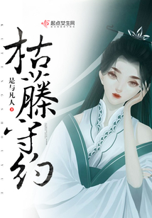 枯藤守约在线阅读
