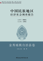 中国民族地区经济社会调查报告·金秀瑶族自治县卷