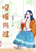 昭瑤而過(guò)在線閱讀
