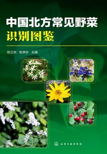 中国北方常见野菜识别图鉴