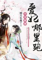 冷帝痴缠：爱妃哪里跑