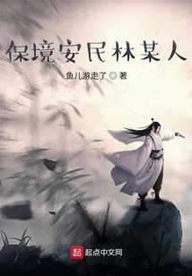 保境安民林某人
